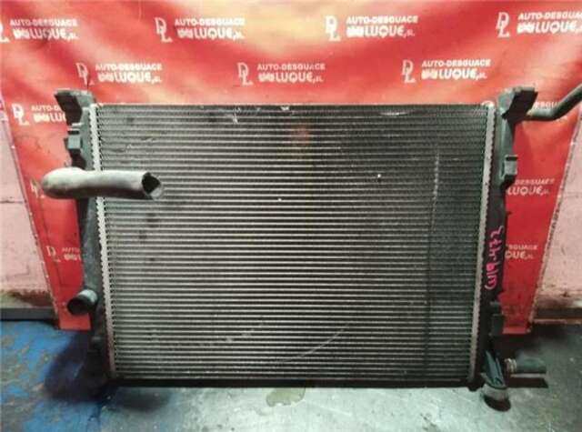 Radiador Motor Renault Megane II CLASSIC BERLINA (2003-_)