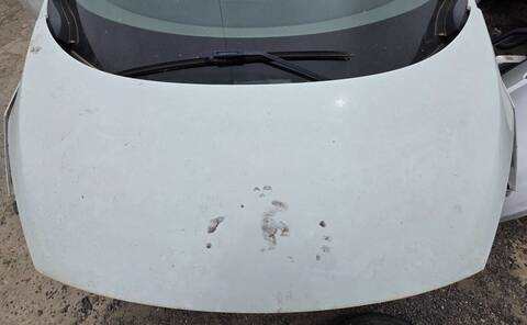 Foto 1ª: Capot Renault Scenic PRIVILEGE 131CV 96KW (2013)
