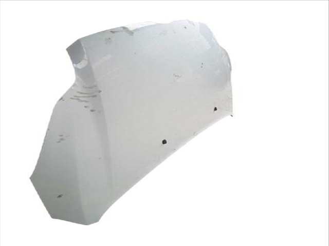 Foto 2ª: Capot Ford Focus 1.0 ECOBOOST (2010)