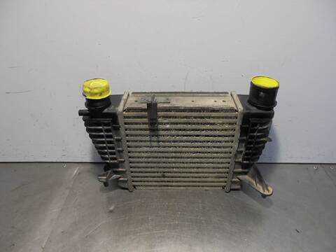 Intercooler Renault Clio AUTHENTIQUE 68CV 50KW