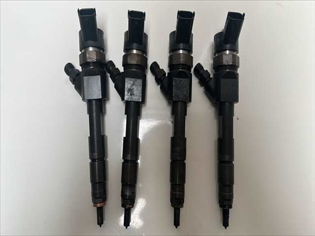 Inyectores Renault Scenic 1.9 DCI