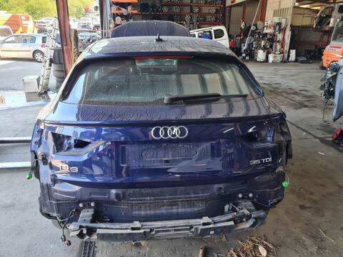 Portón Audi Q3 35 TDI BASICO 149CV 110KW