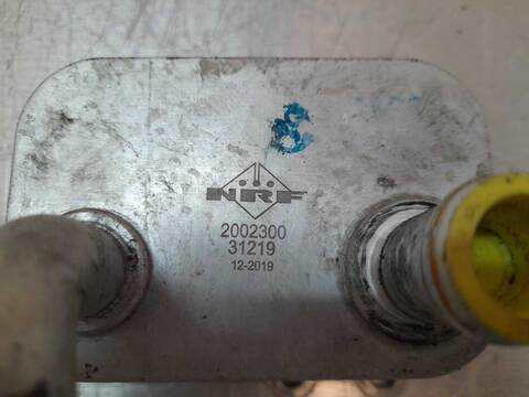 Foto 3ª: Radiador Aceite Ford Focus AMBIENTE BERLINA 90CV 66KW [C9DB] (2002)