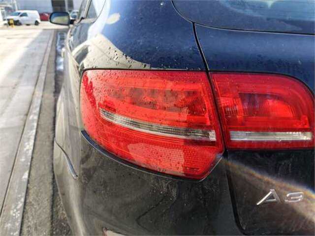 Piloto Trasero Izquierdo Audi A3 1.6 TDI AMBIENTE [1.6 LTR. - 77 KW TDI]