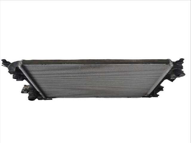 Foto 3ª: Radiador Motor Jaguar XF 2.2 D (2008)