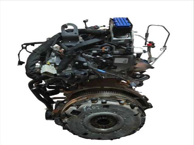 Motor Completo Ford Transit 2.0 ECOBLUE 105 CV 77KW