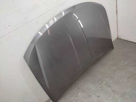 Foto 3ª: Capot Fiat Freemont 2.0 JTD 170CV 125KW [939B5000] (2012)