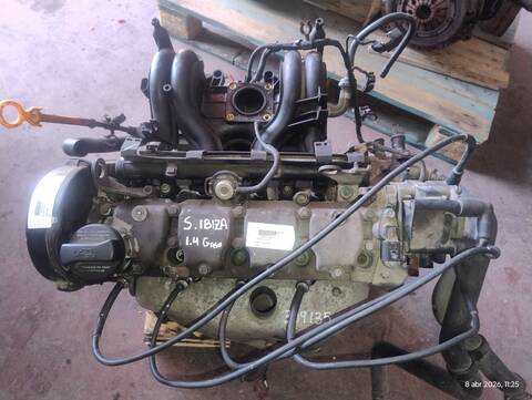 Motor Completo Seat Ibiza AKK