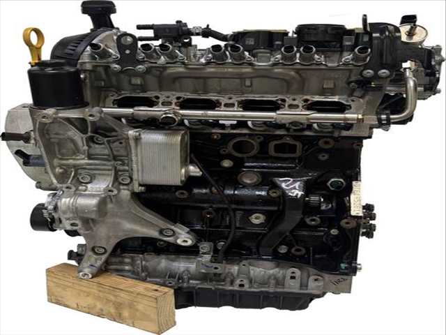 Foto 3ª: Motor Completo Volkswagen Tiguan 2.0 TSI 186 CV 137KW [DTEA] (2021)