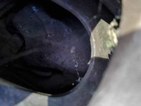 Pinza Freno Delantera Derecho Citroen C4 BUSINESS 112CV 82KW