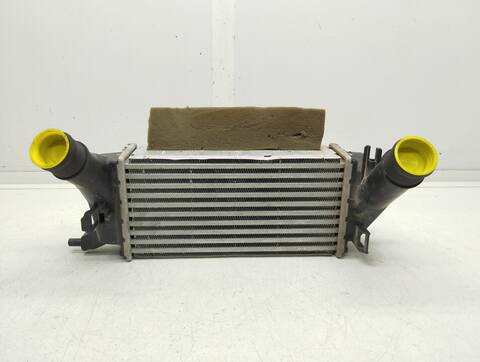 Foto 1ª: Intercooler Ford EcoSport COOL CONNECT 125CV 92KW [M1JU] (2021)