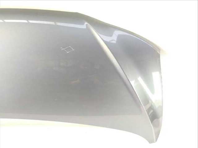 Foto 3ª: Capot Hyundai Santa Fe 2.2 CRDI (2005)