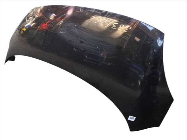 Foto 3ª: Capot Renault Scenic 1.9 DCI JZ0J JZ1J JZ1K JZ1S) (2008)
