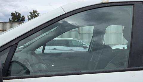 Luna Delantera Izquierda Renault Scenic PRIVILEGE 131CV 96KW