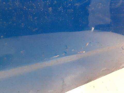 Foto 3ª: Puerta Delantera Derecha Opel Tigra COSMO 69CV 51KW [Z13DT] (2005)