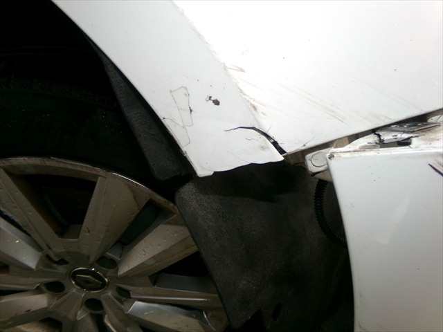 Foto 2ª: Aleta Delantera Derecha Renault Megane 1.5 DCI SPORT TOURER, 2019- [K9KU8] (2021)