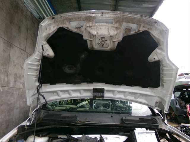 Foto 2ª: Capot Ford Kuga 2.0 TDCI 2008-2013 [UFDA] (2012)