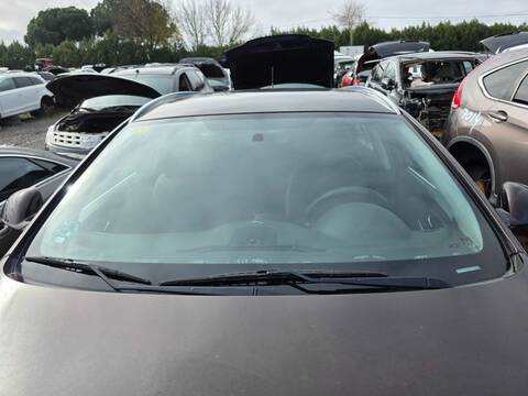 Luna parabrisas Opel Insignia BASIS 4X4 136CV 100KW