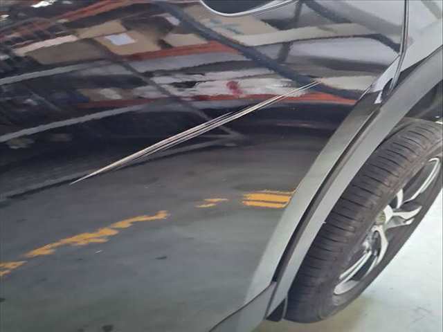 Foto 3ª: Puerta Trasera Izquierda Volvo XC 40 T3 163CV 120KW [B3154T7] (2019)