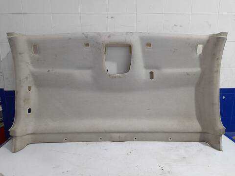 Techo Interior Peugeot Expert 1.6 BLUE-HDI FAP 95CV 70KW FURGON