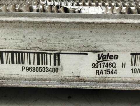 Foto 2ª: Radiador Motor Peugeot 3008 PREMIUM 109CV 80KW [9HZ 9H01] (2010)