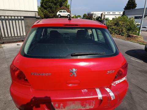 Portón Peugeot 307 NFU
