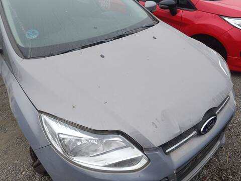 Capot Ford Focus PNDA BERLINA AUT.