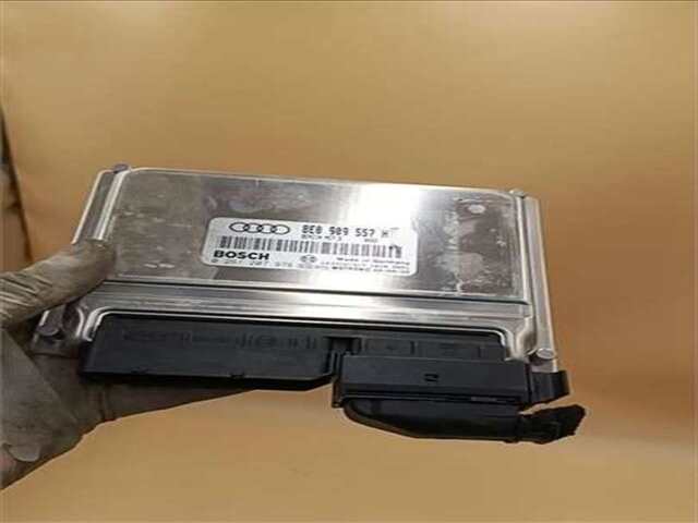 Centralita Motor ECU Audi A4 2.0 [2.0 LTR. - 96 KW 20V CAT (ALT)]