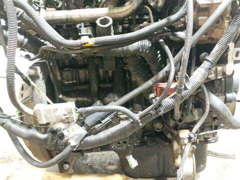 Foto 2ª: Motor Completo Ford Focus 1.6 TDCI 109CV 80KW [G8DA,G8DB,G8DE,G8DD,G8DF] (2005)
