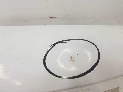 Foto 3ª: Puerta Trasera Derecha Ford Transit 290 L2 113CV 83KW (2019)