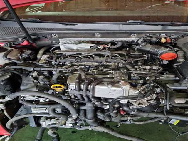 Motor Completo Volkswagen Golf 1.6 TDI 105CV 77KW