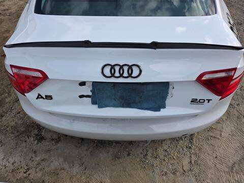 Portón Audi A5 2.0 TFSI 132KW) 179CV