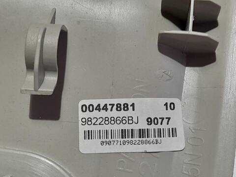 Foto 2ª: Luz Interior Peugeot Expert 1.6 BLUE-HDI FAP 116CV FURGON [D/ BH01] (2016)