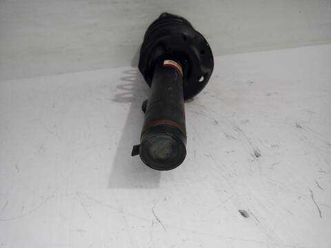 Foto 3ª: Amortiguador Delantero Derecho Seat Altea FAMILY 105CV [BXE] (2006)