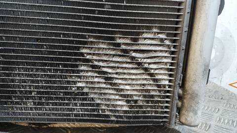 Foto 2ª: Radiador Motor Hyundai Sonata 2.0 CRDI STYLE 140CV 103KW [D4EA] (2007)