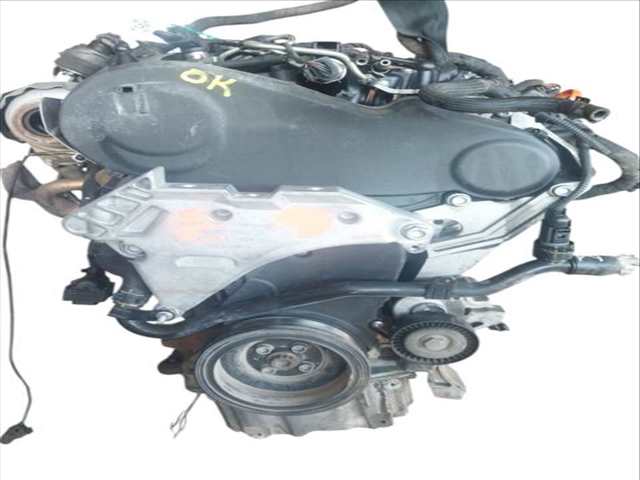 Foto 1ª: Motor Completo Volkswagen Golf 1.6 TDI (2008)