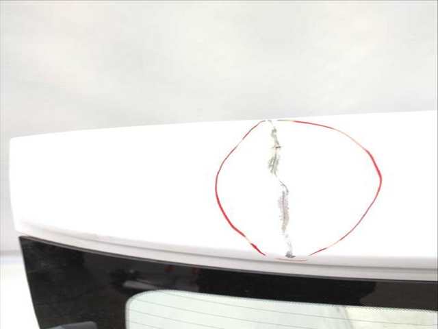 Foto 2ª: Portón Fiat 500 1.4 312AXC1B 312CXC1B) (2007)