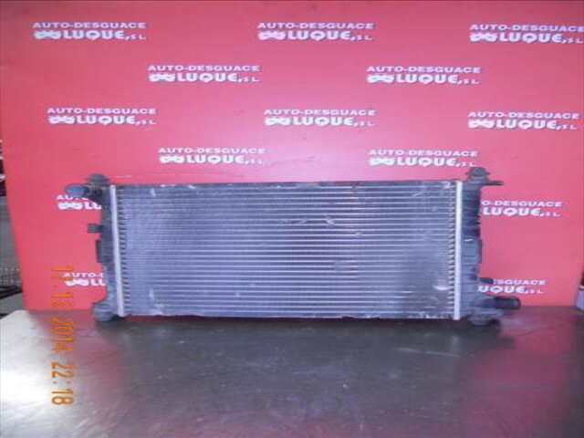 Radiador Motor Ford Puma 1.4 [1.4 LTR. - 66 KW 16V CAT]