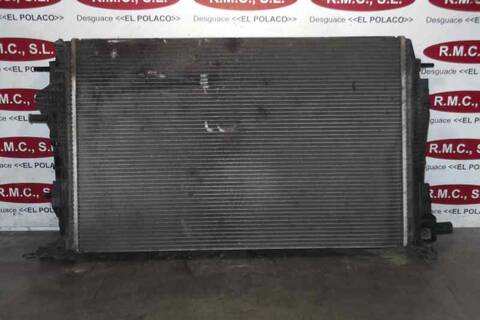 Foto 4ª: Radiador Motor Renault Scenic 2.0 16V 140CV 103KW [M4R F7] (2011)