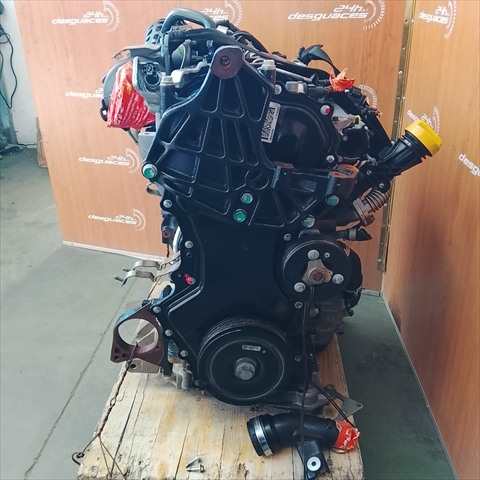 Foto 2ª: Motor Completo Renault Koleos 2.0 DCI 150CV [M9RH862] (2012)