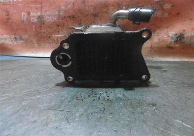 Valvula EGR Ford Focus 2.0 SPORT [2.0 LTR. - 120 KW TDCI CAT]