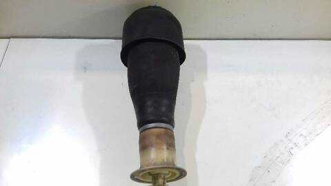 Foto 1ª: Amortiguador Trasero Derecho Bmw Serie 5 518 550I XDRIVE 408CV 300KW [N63B44A] (2010)