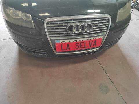 Paragolpes Delantero Audi A3 BLF