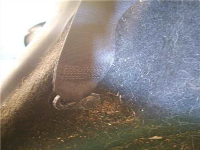 Foto 2ª: Cinturón Trasero Izquierdo Mercedes Clase B 150 2.0 180 CDI (245.207) [2.0 LTR. - 80 KW CDI CAT] [OM 640.940]