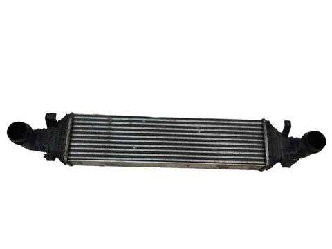 Foto 1ª: Intercooler Mercedes Clase G 230 200 CDI 204.901) (2008)