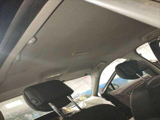 Foto 2ª: Techo Interior Renault Scenic DYNAMIQUE 131CV 96KW [R9M402] (2011)