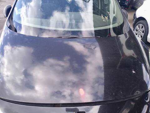 Capot Renault Scenic 1.9 DCI JZ0J JZ1J JZ1K JZ1S)