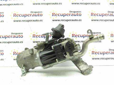 Valvula EGR Ford C Max T3DA CEU)