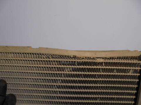 Foto 3ª: Radiador Motor Ford Focus AMBIENTE BERLINA 75CV 55KW [BHDA] (2001)