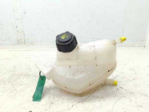 Deposito Expansion Nissan Qashqai N-STYLE 116CV 85KW